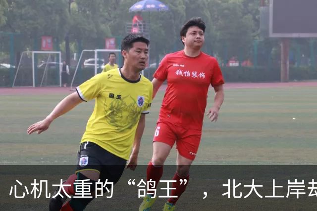 心机太重的“鸽王”，北大上岸却把中科大老师搞得一头雾水！